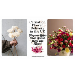 Carnation Flower Delivery in the UK: Elegant Gifts That Speak from the Heart